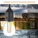 AV-713-15 Waterproof String Light  15m + 3m Extra + Pack 15 Pcs Decorative Bulbs S14-E27-2W